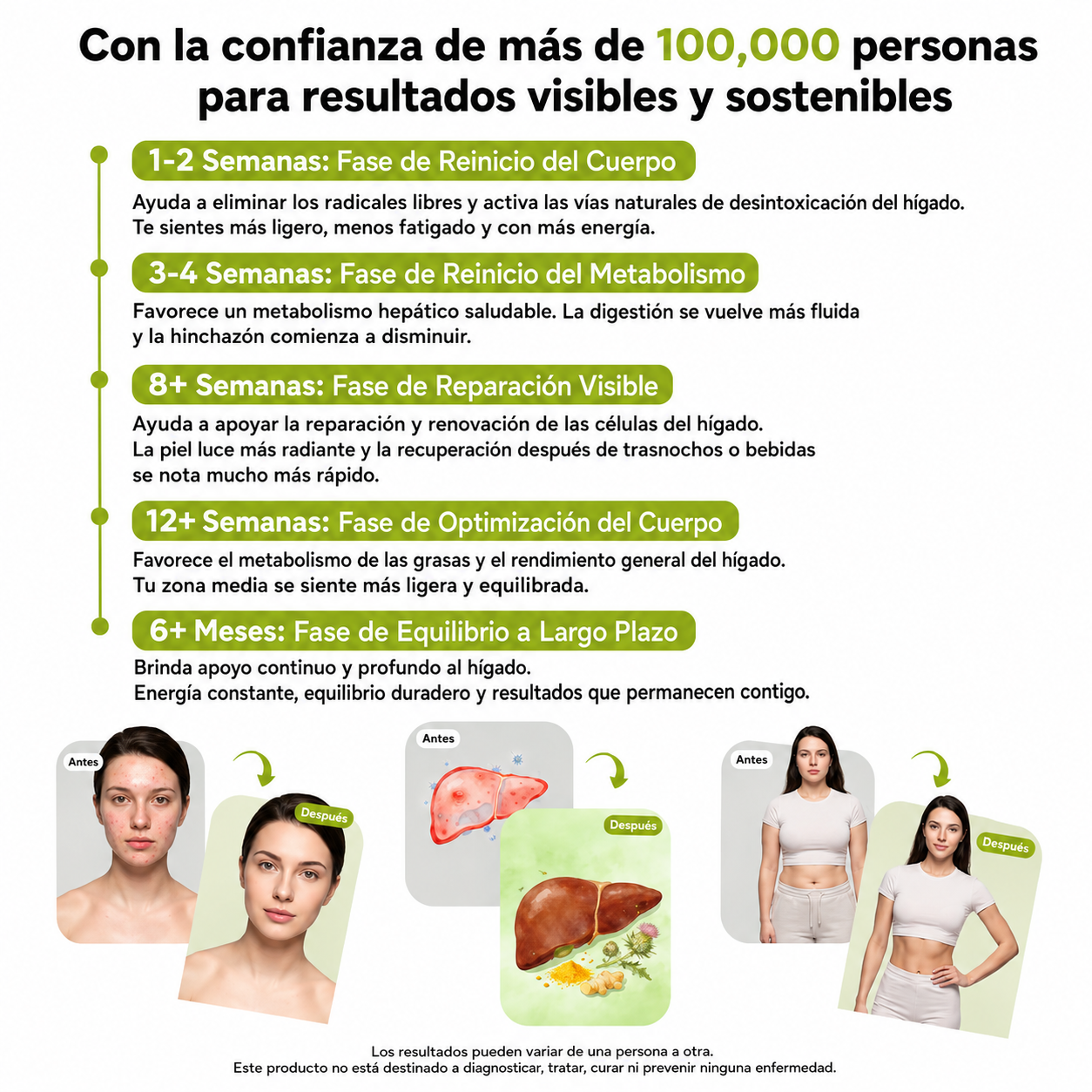 MilkThistle® Cardo Mariano | Detox Hepático & Limpieza de Colon