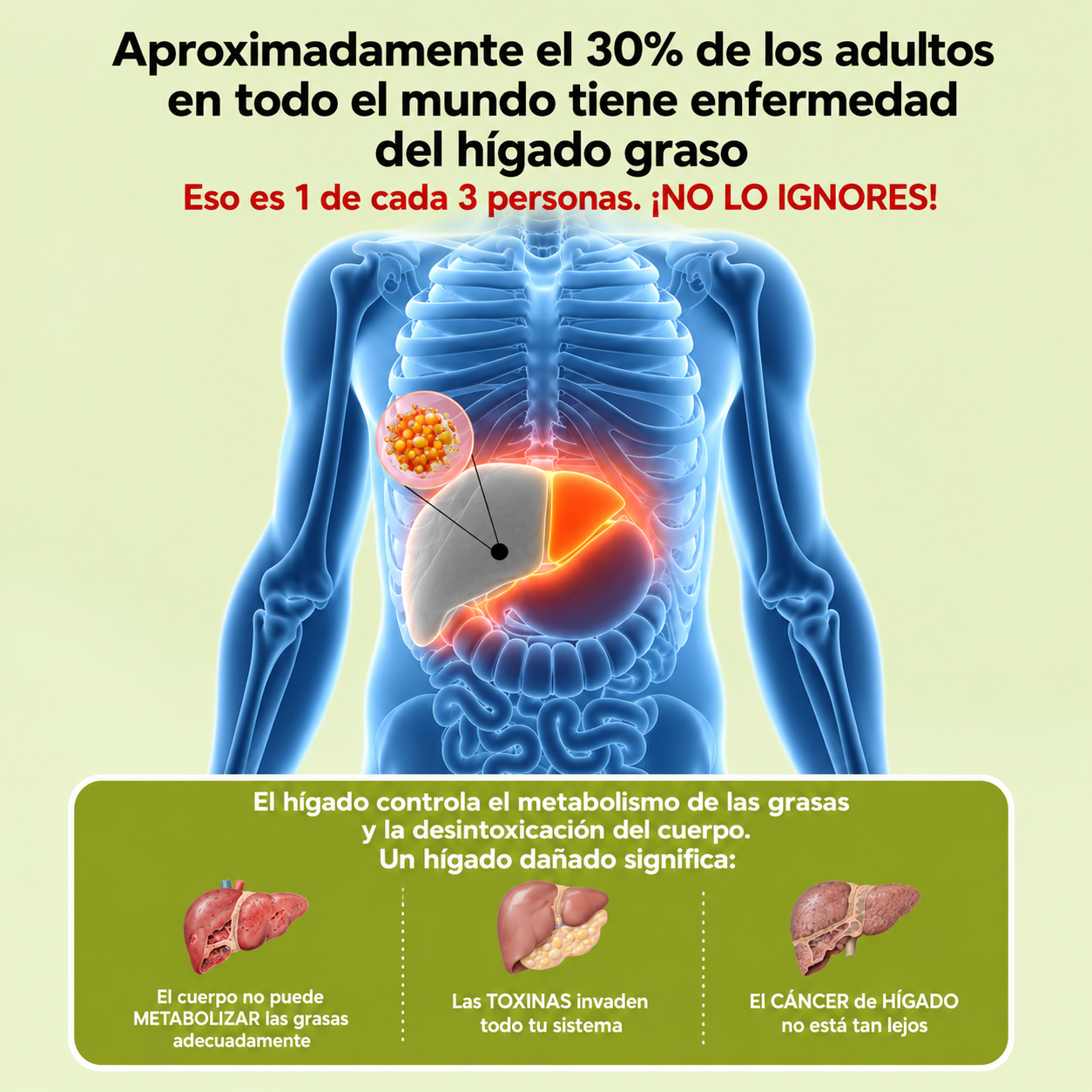 MilkThistle® Cardo Mariano | Detox Hepático & Limpieza de Colon