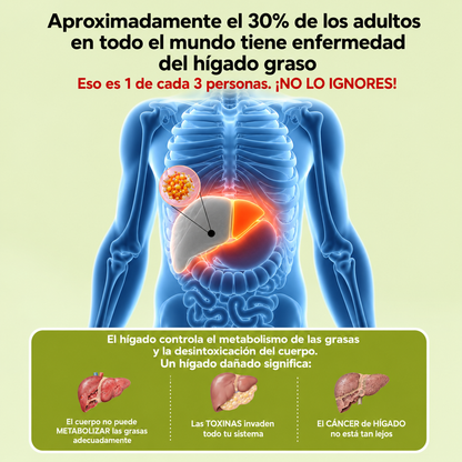 MilkThistle® Cardo Mariano | Detox Hepático & Limpieza de Colon