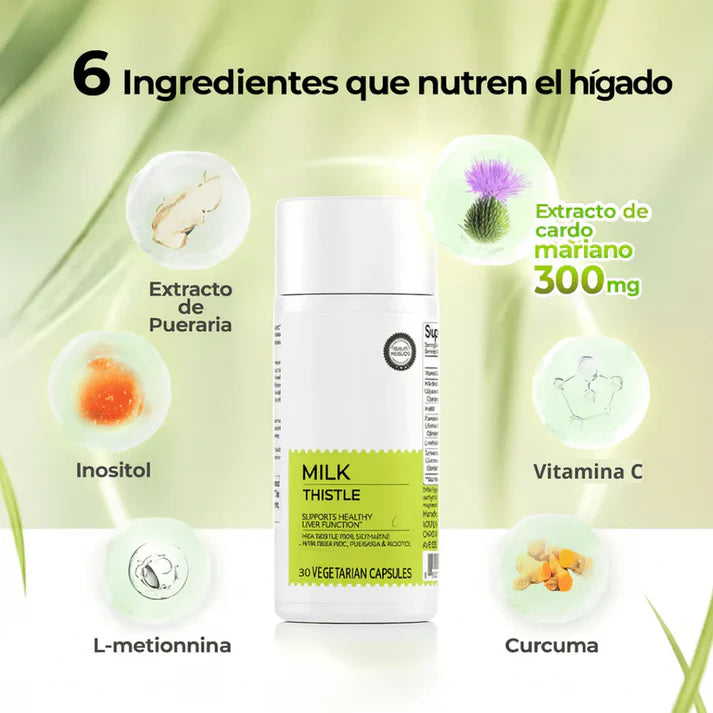 MilkThistle® Cardo Mariano | Detox Hepático & Limpieza de Colon