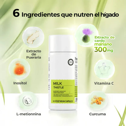 MilkThistle® Cardo Mariano | Detox Hepático & Limpieza de Colon